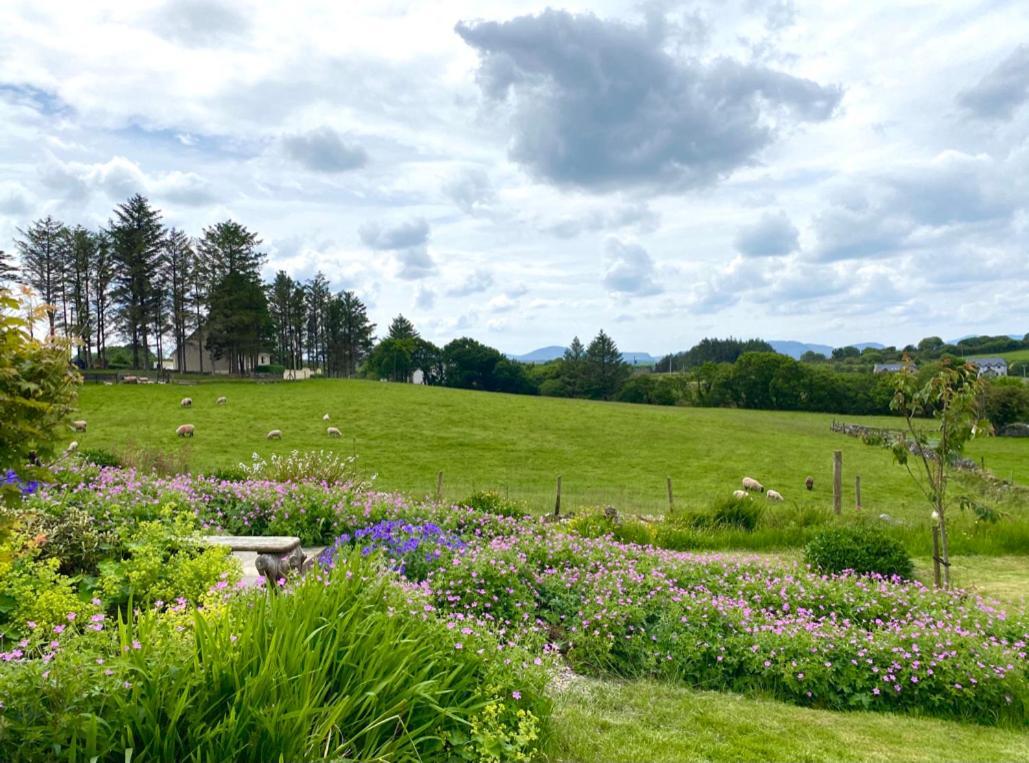Brook Lodge Glenties Exterior photo